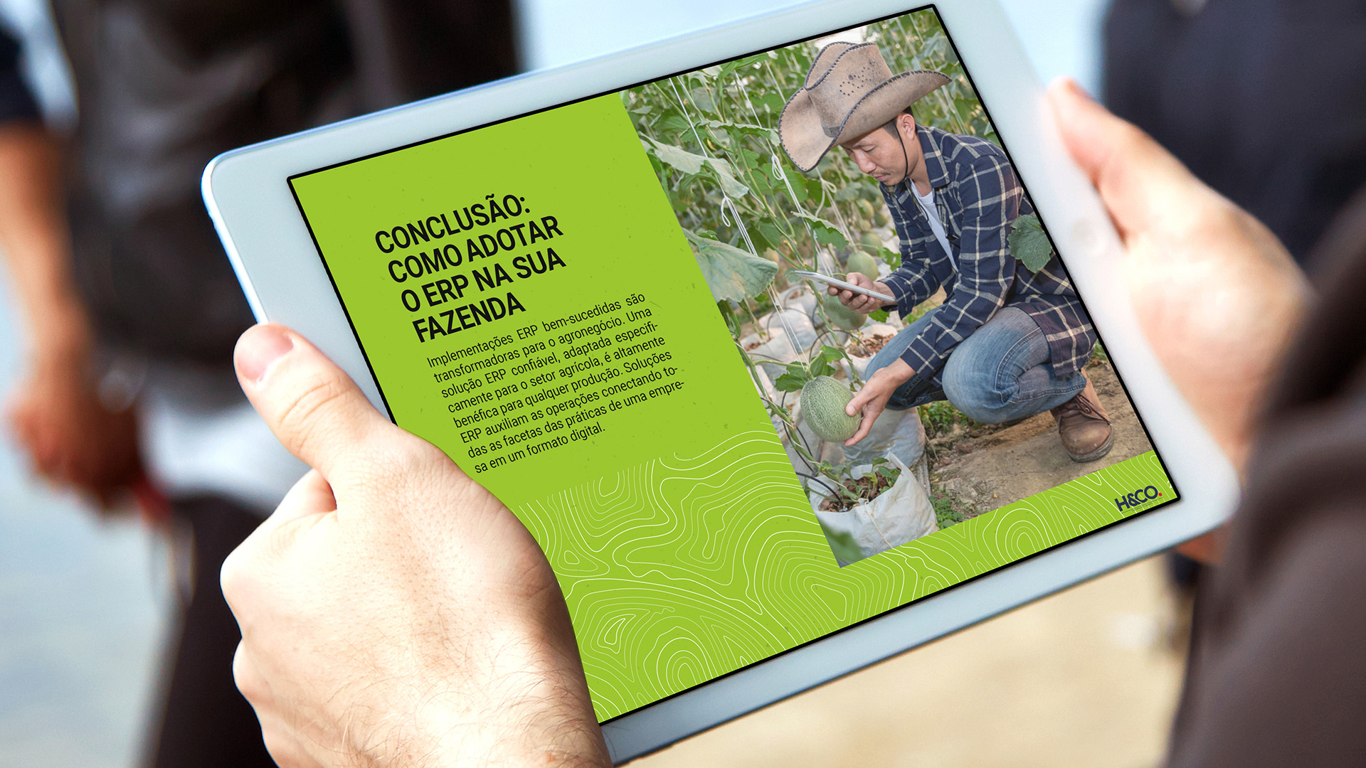 Imagem do Projeto E-book H&CO 04